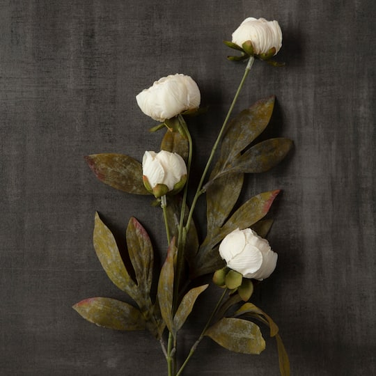 16 Pack: Cream Peony Stem by Ashland®